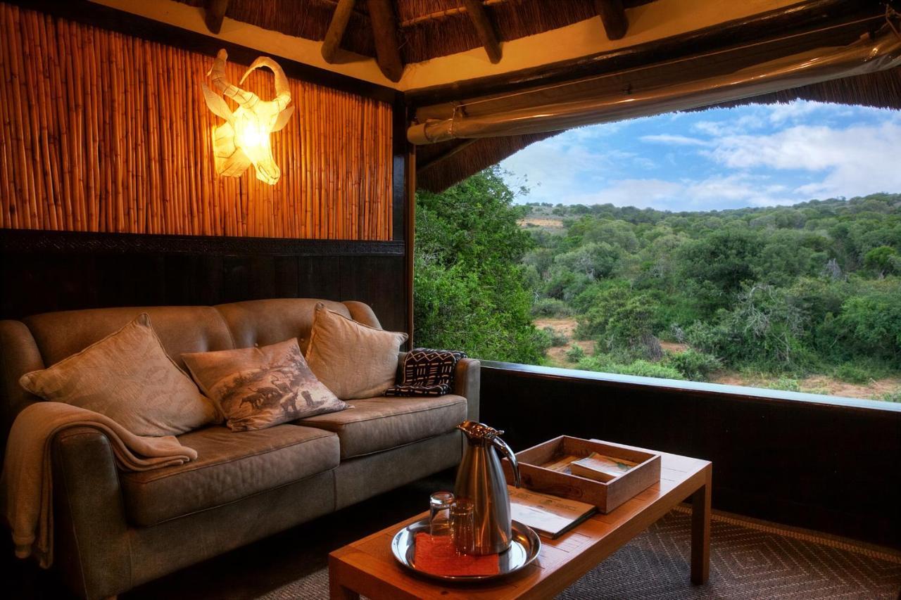 Safari - 4*