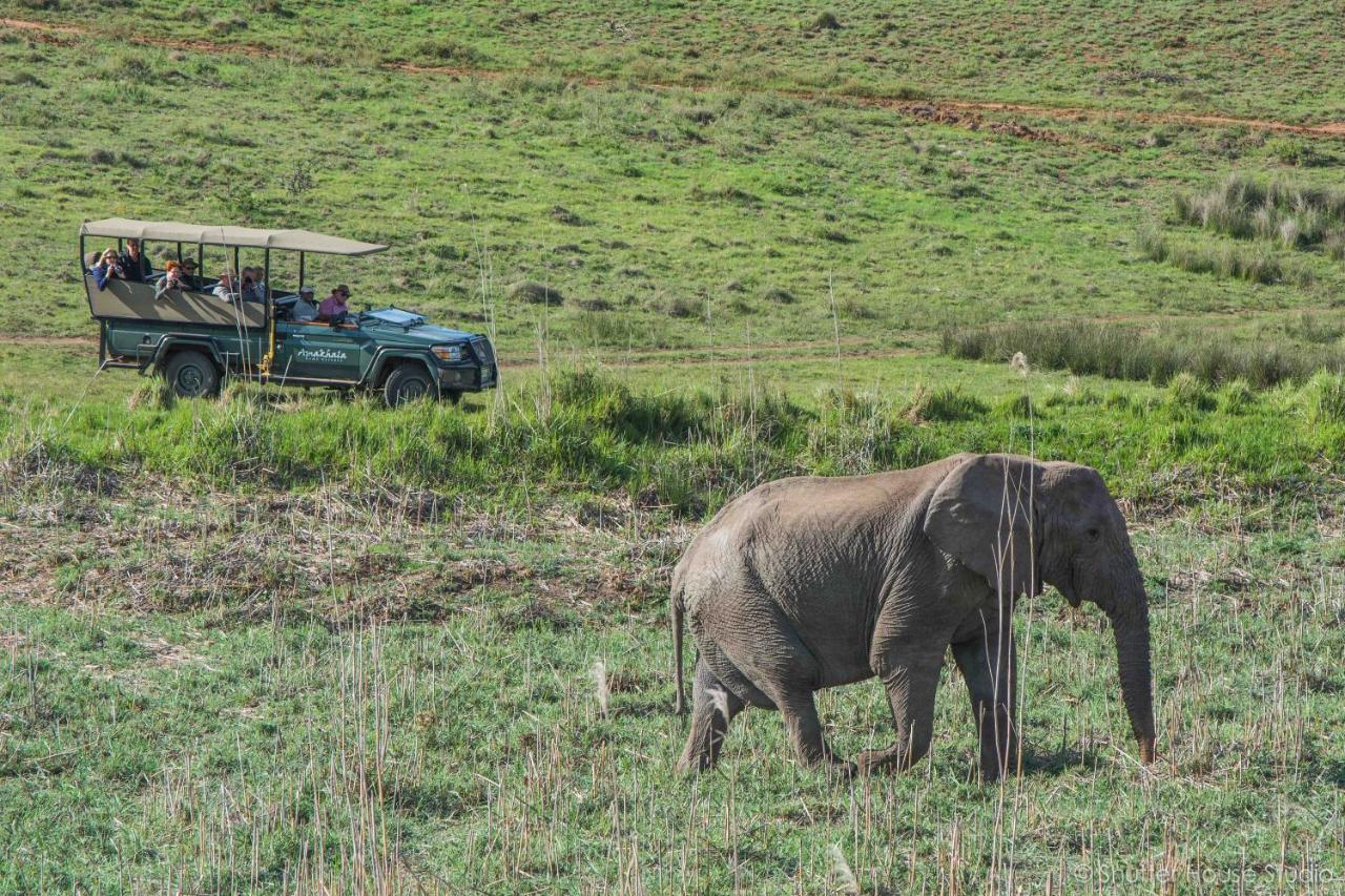 Luxuszelt Safari -