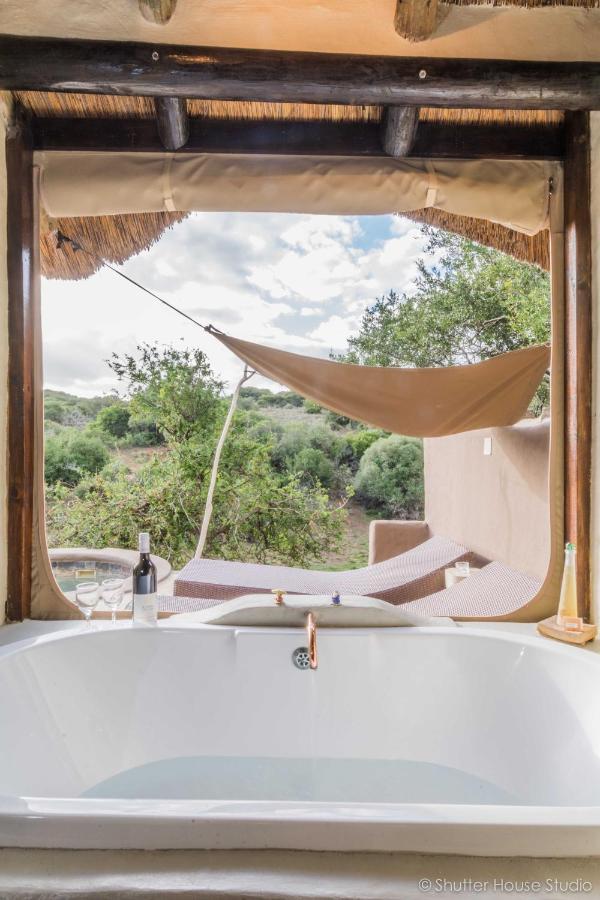Safari - Amakhala Game Reserve
